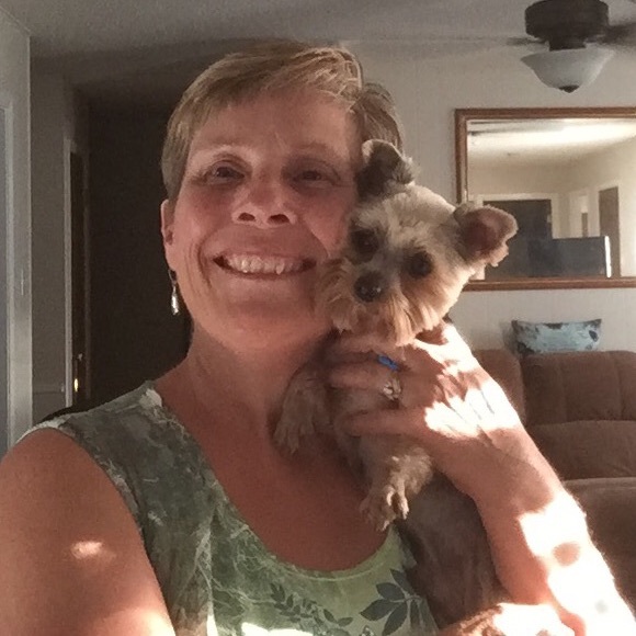 Our Yorkie boys Bentley and Arnold - Picture 5 of 8